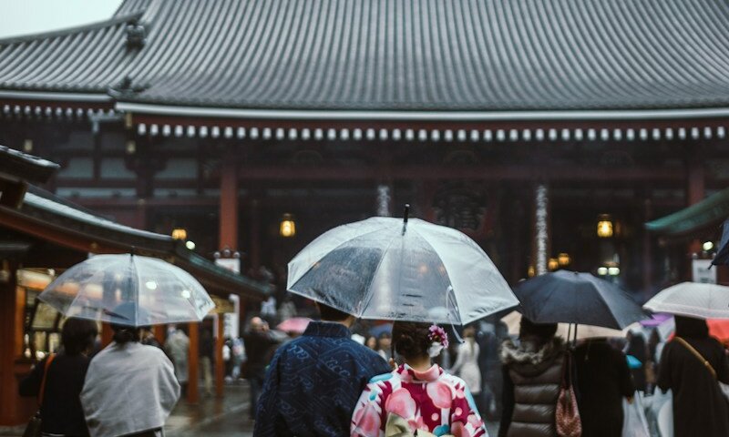 people walking on street while holding umbrellas going to pagoda