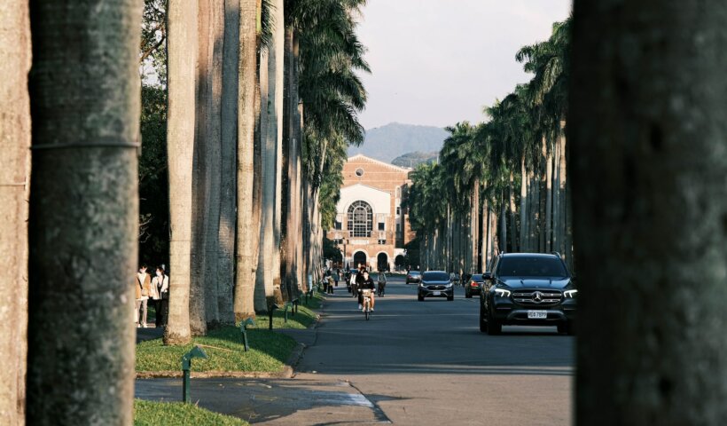a street lined with palm trees and tall buildings